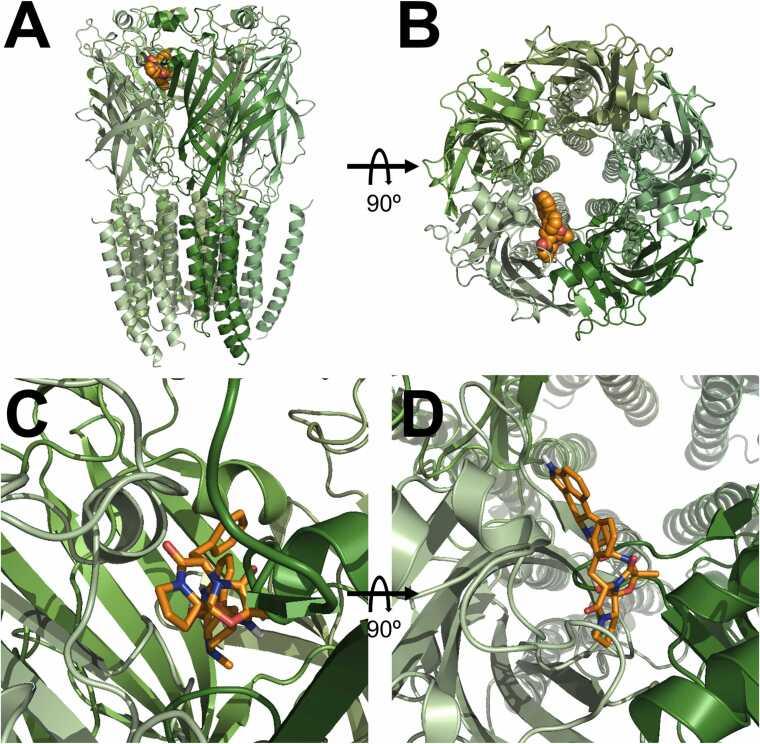 https://cdn.ncbi.nlm.nih.gov/pmc/blobs/c1b7/11981762/ce21f521f39e/gr3.jpg