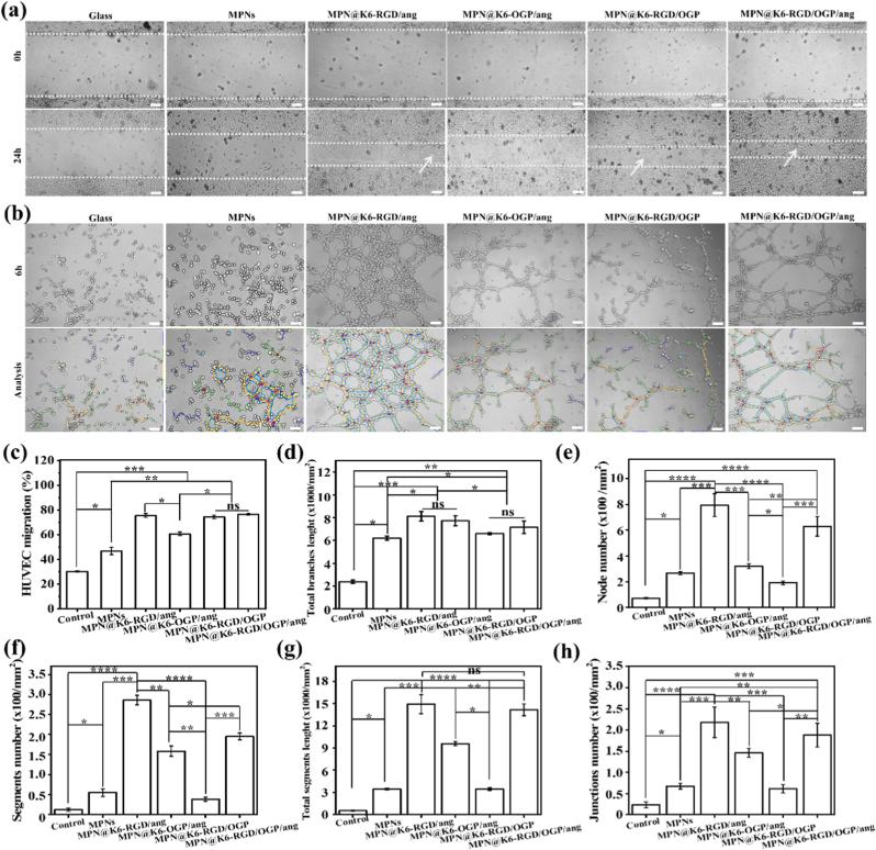 https://cdn.ncbi.nlm.nih.gov/pmc/blobs/c1b8/12047590/90ea90918557/gr5.jpg