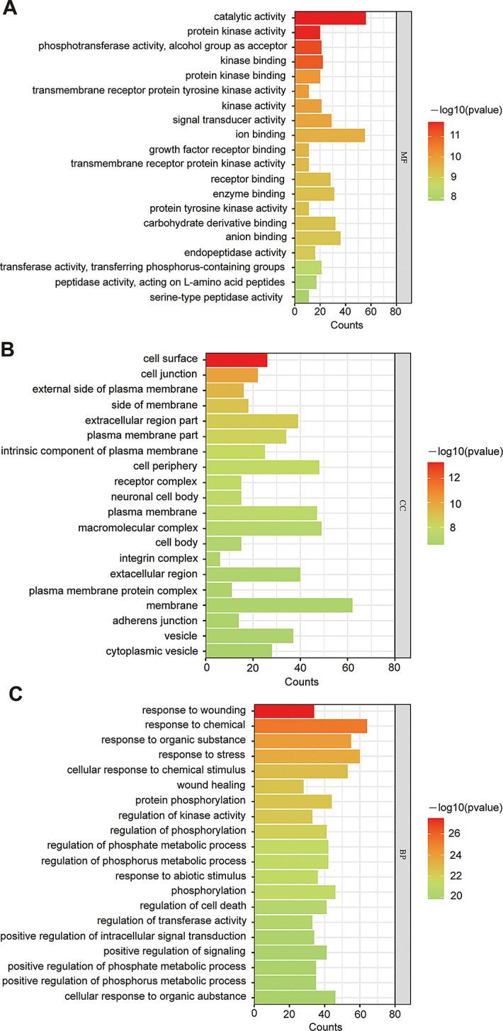 https://cdn.ncbi.nlm.nih.gov/pmc/blobs/c1ba/12076972/11b282e743dc/12885_2025_14231_Fig4_HTML.jpg