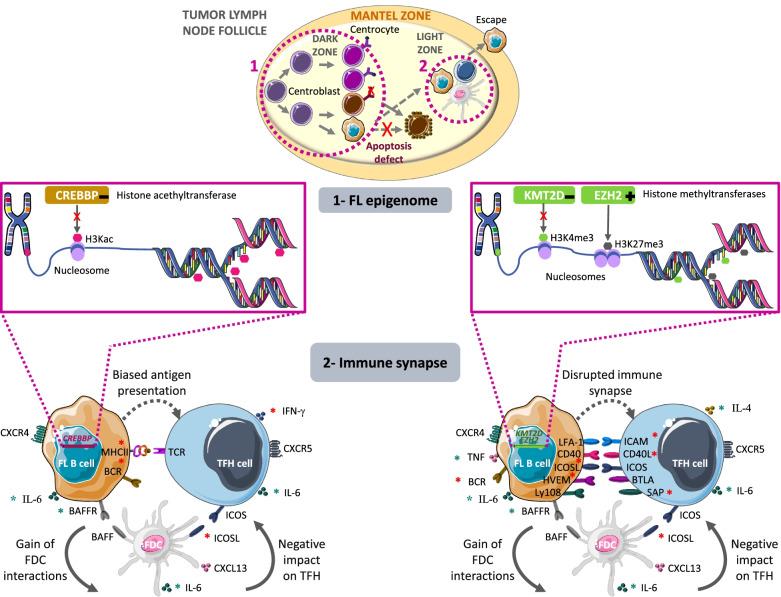 https://cdn.ncbi.nlm.nih.gov/pmc/blobs/c1bd/8753841/7f347d2f83a9/13046_2021_2234_Fig1_HTML.jpg