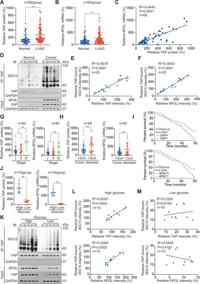 https://cdn.ncbi.nlm.nih.gov/pmc/blobs/c1be/8837792/8d8d536e2923/41420_2022_842_Fig7_HTML.jpg