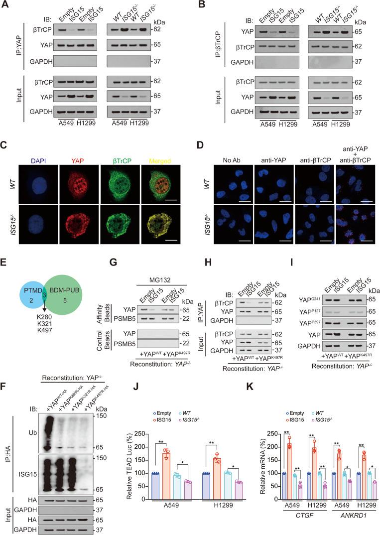 https://cdn.ncbi.nlm.nih.gov/pmc/blobs/c1be/8837792/c8464c1fab69/41420_2022_842_Fig2_HTML.jpg