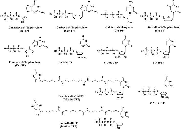 https://cdn.ncbi.nlm.nih.gov/pmc/blobs/c1c2/7299870/aa7bcbb2ee12/gr1_lrg.jpg