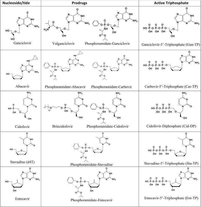 https://cdn.ncbi.nlm.nih.gov/pmc/blobs/c1c2/7299870/cf67323e2eb7/gr2_lrg.jpg