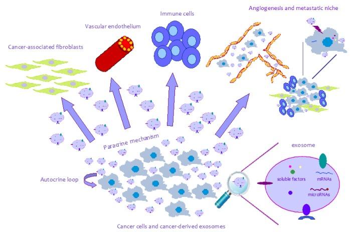 https://cdn.ncbi.nlm.nih.gov/pmc/blobs/c1c3/3634447/dcabbd4c03e3/ijms-14-05338f1.jpg