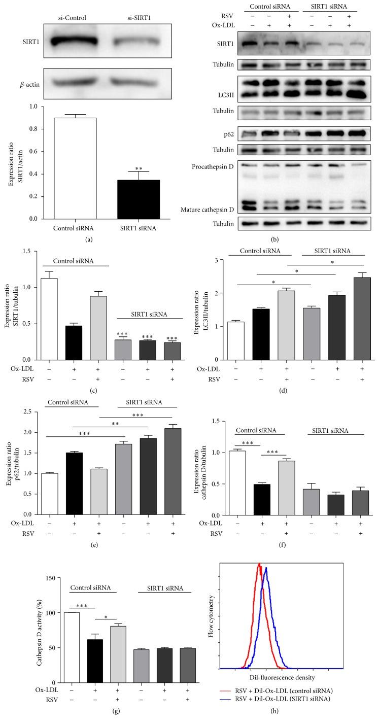 https://cdn.ncbi.nlm.nih.gov/pmc/blobs/c1c3/4812467/bf0013c8ddb5/OMCL2016-7589813.005.jpg