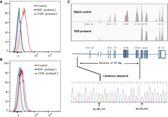 https://cdn.ncbi.nlm.nih.gov/pmc/blobs/c1c4/9994479/abecffd9a238/EMMM-15-e16320-g003.jpg