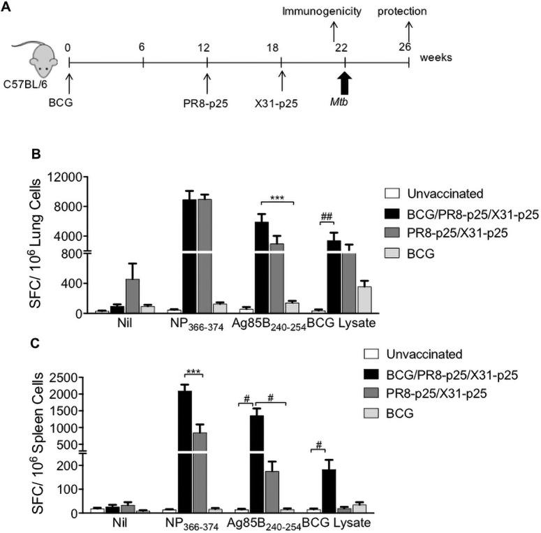 https://cdn.ncbi.nlm.nih.gov/pmc/blobs/c1c5/8601556/60950379ab41/pone.0259829.g003.jpg