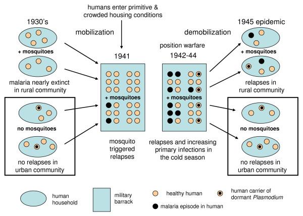 https://cdn.ncbi.nlm.nih.gov/pmc/blobs/c1c6/2543043/553f9036bd00/1475-2875-7-171-8.jpg
