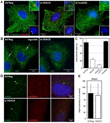 https://cdn.ncbi.nlm.nih.gov/pmc/blobs/c1c6/3203190/3b08f4391d0e/ppat.1002316.g005.jpg