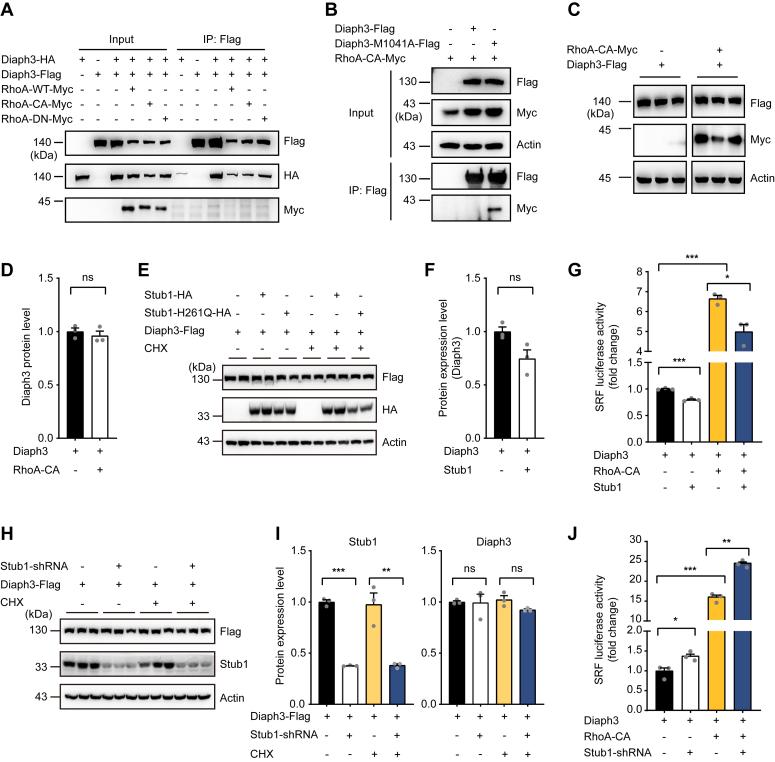 https://cdn.ncbi.nlm.nih.gov/pmc/blobs/c1c9/11736009/03ad79c22511/gr4.jpg