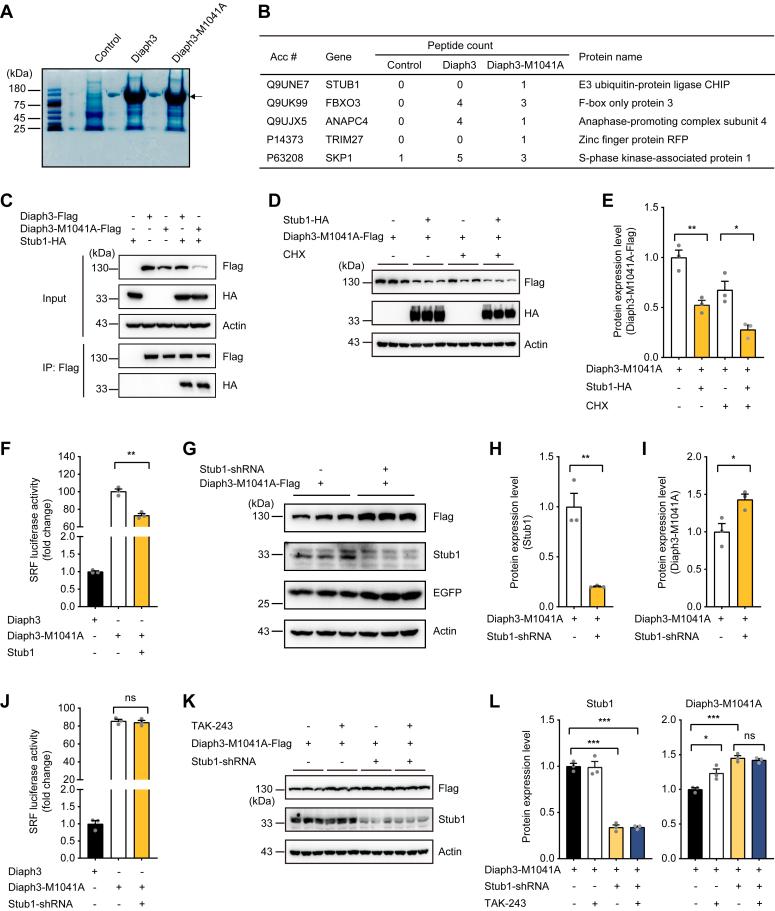 https://cdn.ncbi.nlm.nih.gov/pmc/blobs/c1c9/11736009/4ea28d050ace/gr3.jpg