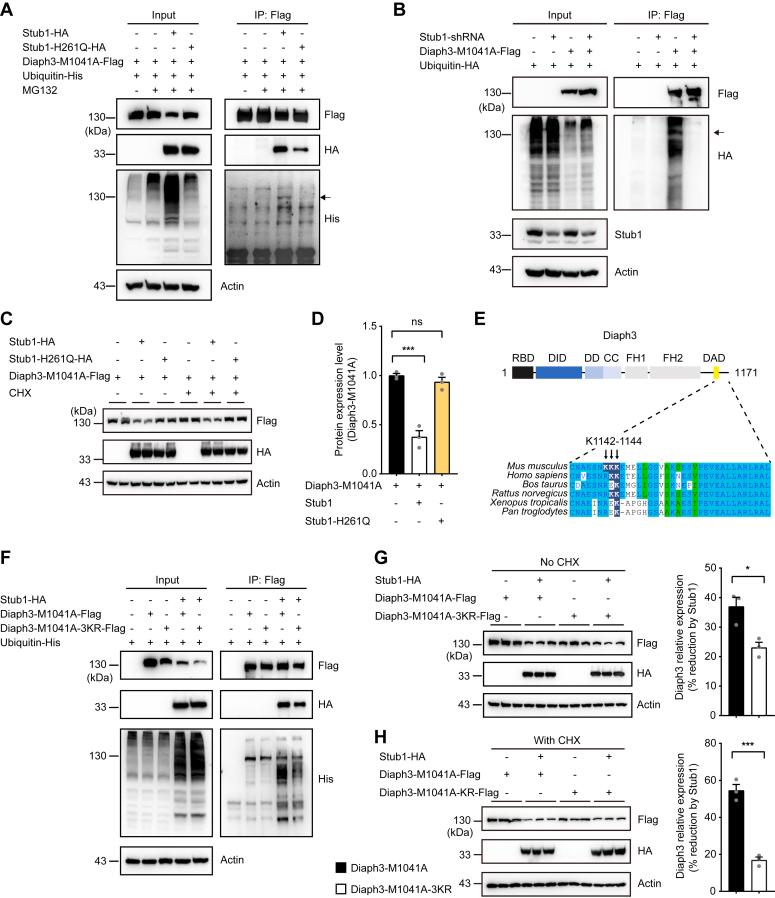 https://cdn.ncbi.nlm.nih.gov/pmc/blobs/c1c9/11736009/b978f8db71c9/gr5.jpg