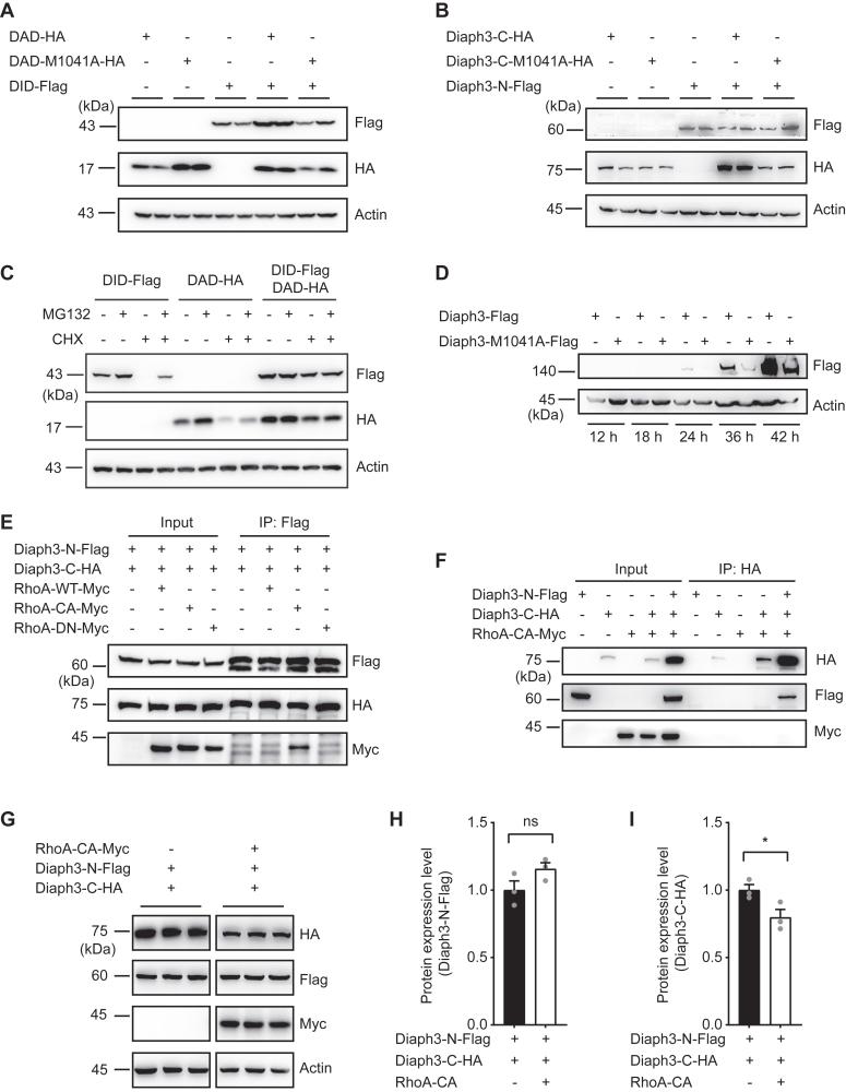 https://cdn.ncbi.nlm.nih.gov/pmc/blobs/c1c9/11736009/d7ebfa3f9412/gr2.jpg