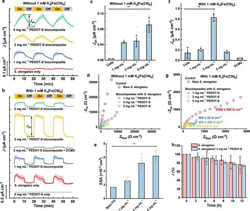 https://cdn.ncbi.nlm.nih.gov/pmc/blobs/c1cb/12214703/6dfb0536e426/41467_2025_61086_Fig4_HTML.jpg