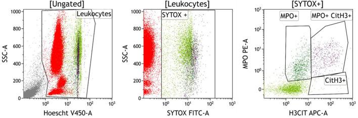 https://cdn.ncbi.nlm.nih.gov/pmc/blobs/c1cc/7940514/129bc8d43e66/fmed-08-615984-g0001.jpg