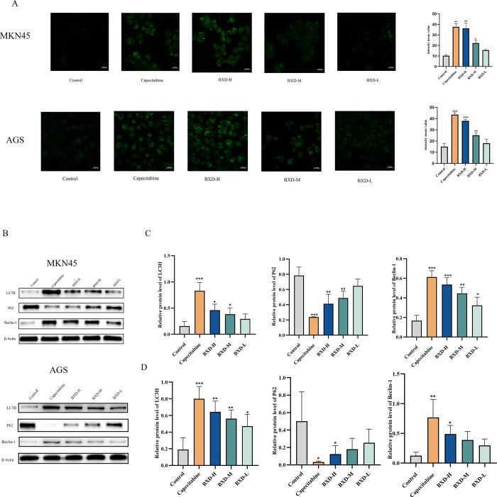 https://cdn.ncbi.nlm.nih.gov/pmc/blobs/c1cd/10918669/46bf471f0880/ao3c06330_0009.jpg
