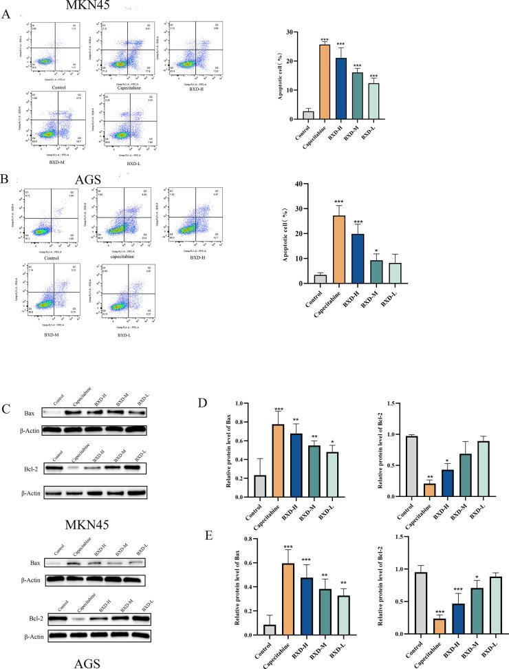 https://cdn.ncbi.nlm.nih.gov/pmc/blobs/c1cd/10918669/7383e1fd8626/ao3c06330_0008.jpg