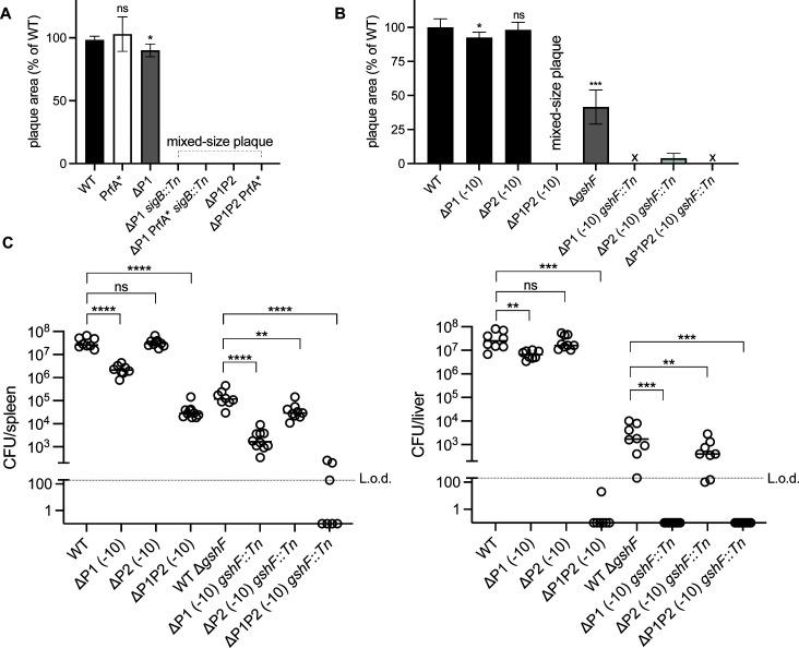 https://cdn.ncbi.nlm.nih.gov/pmc/blobs/c1cd/12153296/89caa73dbbdd/mbio.00719-25.f004.jpg