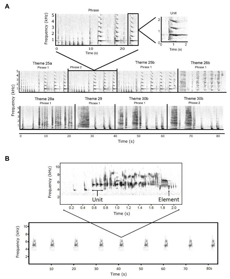 https://cdn.ncbi.nlm.nih.gov/pmc/blobs/c1ce/7550662/0816d464fd94/fpsyg-11-544929-g001.jpg