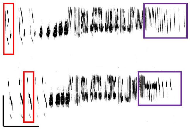 https://cdn.ncbi.nlm.nih.gov/pmc/blobs/c1ce/7550662/7bf47da1988f/fpsyg-11-544929-g004.jpg