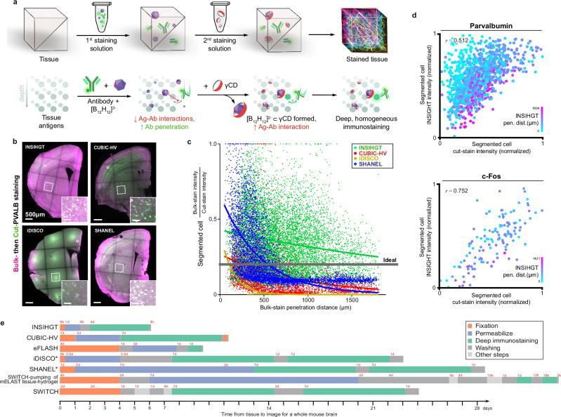 https://cdn.ncbi.nlm.nih.gov/pmc/blobs/c1d0/11685604/27ca07a66ce7/41467_2024_55248_Fig2_HTML.jpg