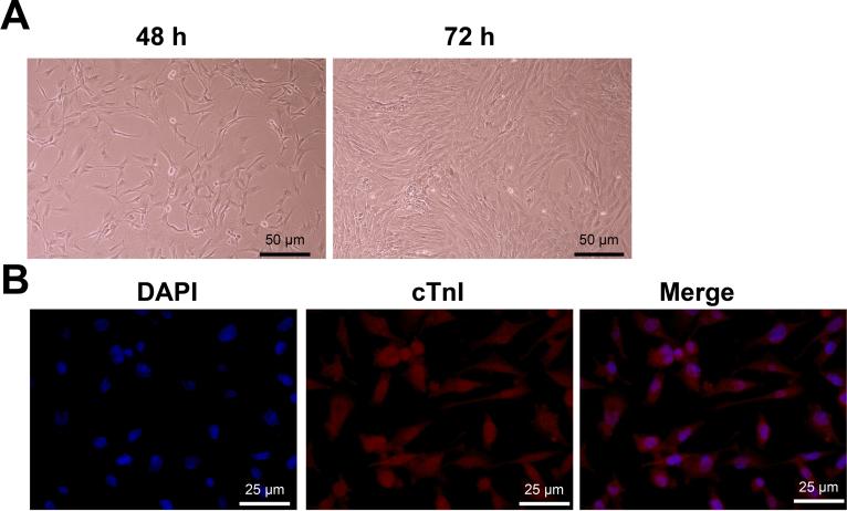 https://cdn.ncbi.nlm.nih.gov/pmc/blobs/c1d3/11815289/2a3dcf39ed52/mmcfigs1.jpg