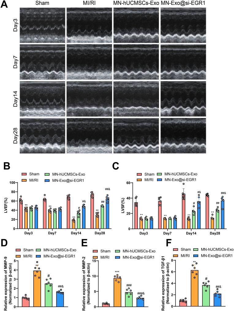 https://cdn.ncbi.nlm.nih.gov/pmc/blobs/c1d3/11815289/2a4d093b3c92/gr7.jpg