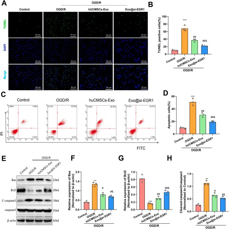 https://cdn.ncbi.nlm.nih.gov/pmc/blobs/c1d3/11815289/453b4123787c/gr4.jpg