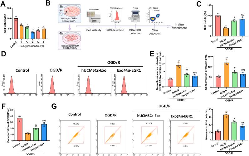 https://cdn.ncbi.nlm.nih.gov/pmc/blobs/c1d3/11815289/706c213f2653/gr2.jpg