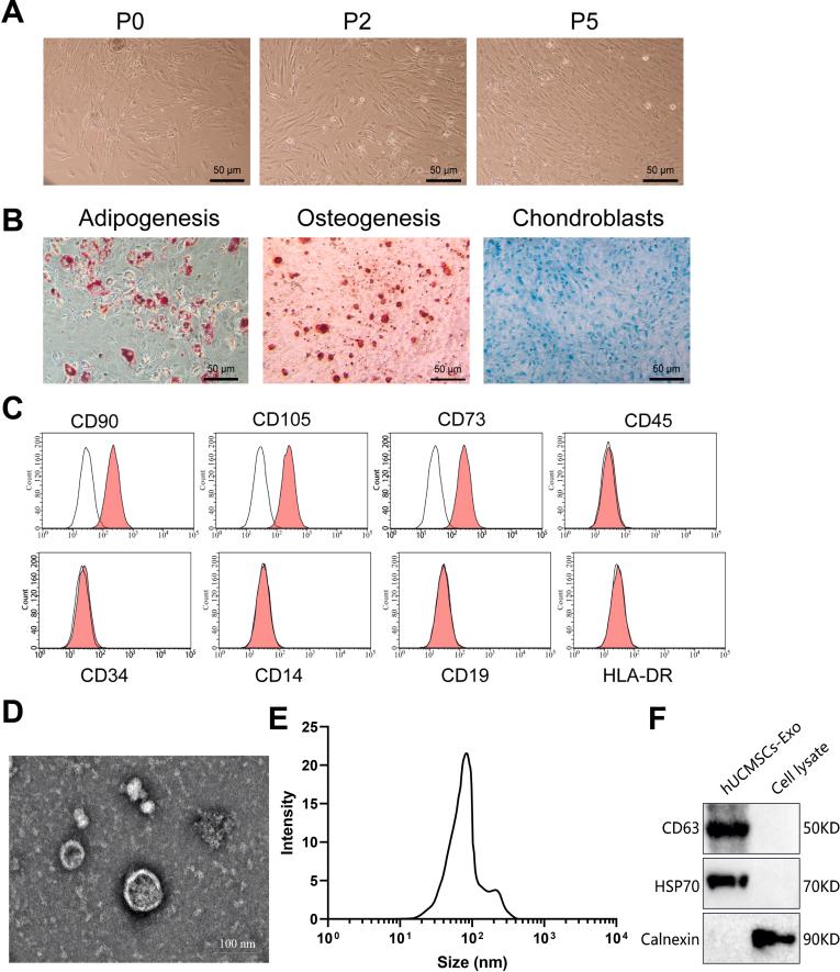 https://cdn.ncbi.nlm.nih.gov/pmc/blobs/c1d3/11815289/e87064836ecc/mmcfigs2.jpg