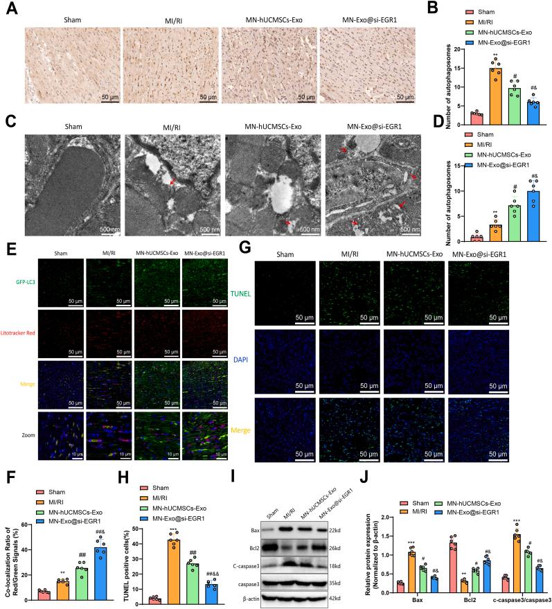 https://cdn.ncbi.nlm.nih.gov/pmc/blobs/c1d3/11815289/fb4d57e93806/gr8.jpg