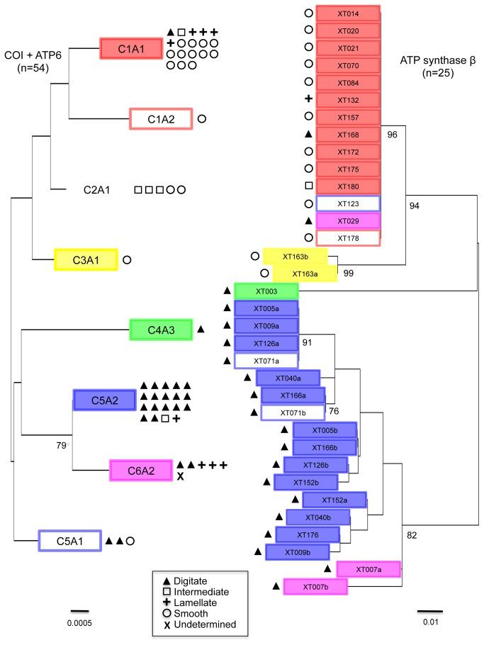 https://cdn.ncbi.nlm.nih.gov/pmc/blobs/c1d6/3771914/47d32c118375/pone.0074396.g003.jpg