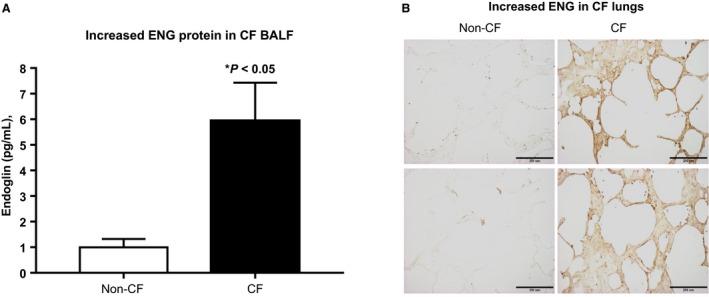 https://cdn.ncbi.nlm.nih.gov/pmc/blobs/c1d6/6389738/3e88256cb98f/PHY2-7-e13977-g001.jpg