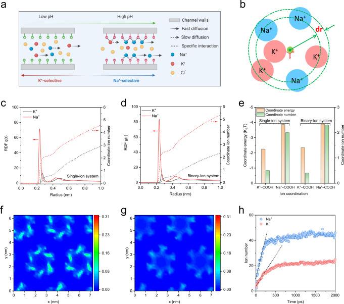 https://cdn.ncbi.nlm.nih.gov/pmc/blobs/c1d9/9780323/b888d1e93ec9/41467_2022_35594_Fig4_HTML.jpg