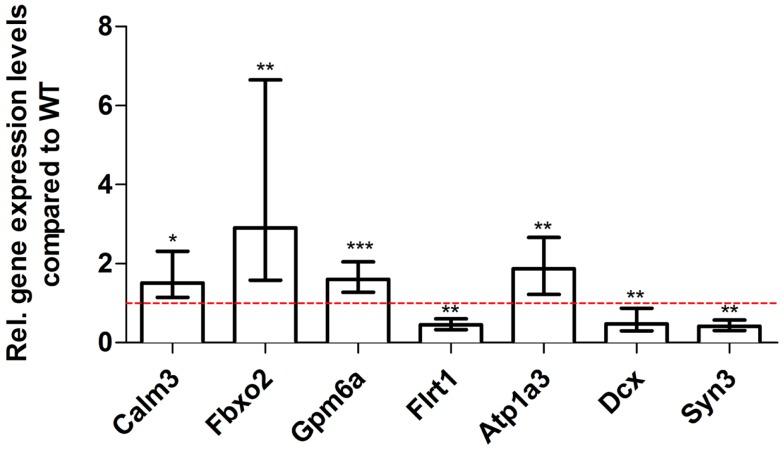 https://cdn.ncbi.nlm.nih.gov/pmc/blobs/c1da/3997018/07604ab1cb15/fnagi-06-00075-g009.jpg