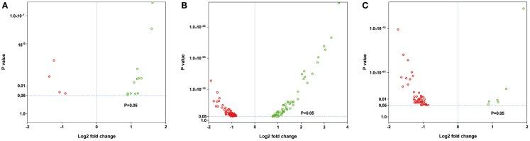 https://cdn.ncbi.nlm.nih.gov/pmc/blobs/c1da/3997018/88b2016c5389/fnagi-06-00075-g005.jpg