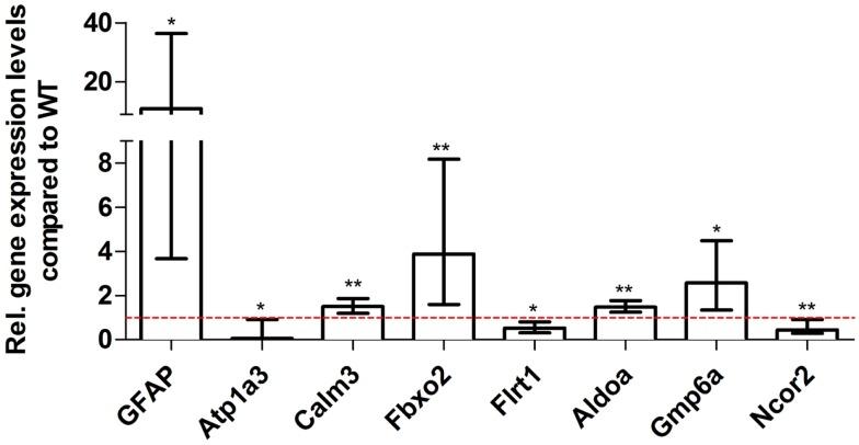 https://cdn.ncbi.nlm.nih.gov/pmc/blobs/c1da/3997018/ce79541d49bc/fnagi-06-00075-g008.jpg