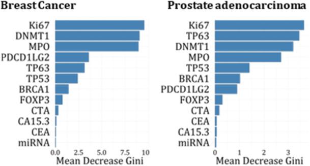 https://cdn.ncbi.nlm.nih.gov/pmc/blobs/c1de/12040734/691b3e61b18f/HSR2-8-e70796-g003.jpg