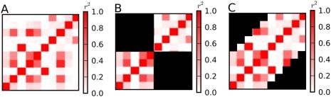 https://cdn.ncbi.nlm.nih.gov/pmc/blobs/c1de/2663787/cc335cd3622c/pgen.1000456.g001.jpg
