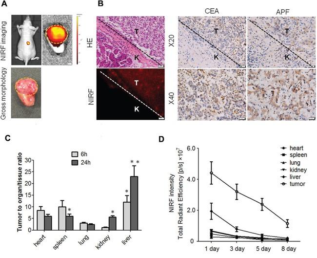 https://cdn.ncbi.nlm.nih.gov/pmc/blobs/c1df/5593610/e1f0a313e960/oncotarget-08-56880-g002.jpg