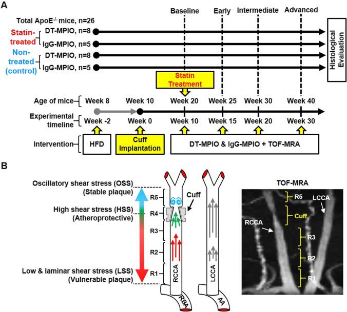 https://cdn.ncbi.nlm.nih.gov/pmc/blobs/c1e0/10796420/e117ba0867e9/12975_2022_1114_Fig1_HTML.jpg