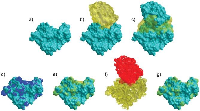 https://cdn.ncbi.nlm.nih.gov/pmc/blobs/c1ed/4148194/a45807984f7c/pcbi.1003792.g011.jpg