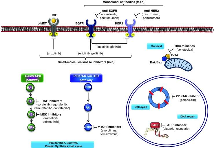 https://cdn.ncbi.nlm.nih.gov/pmc/blobs/c1ed/5541087/70b01ec0f98d/259_2017_3695_Fig1_HTML.jpg