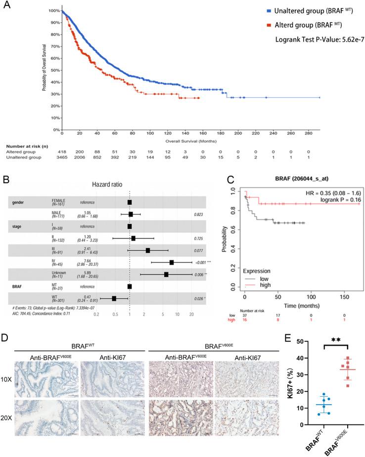 https://cdn.ncbi.nlm.nih.gov/pmc/blobs/c1f1/11843959/59f334d46bfb/12951_2025_3205_Fig2_HTML.jpg