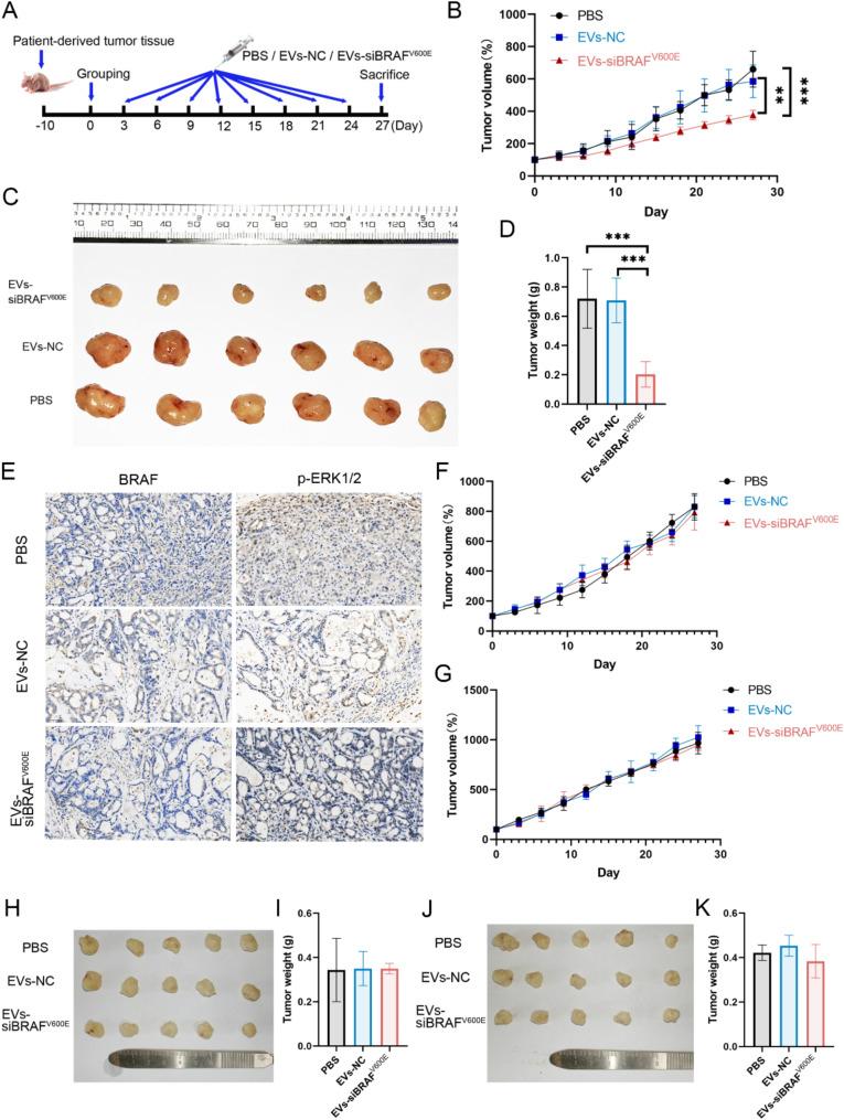 https://cdn.ncbi.nlm.nih.gov/pmc/blobs/c1f1/11843959/82a30a514bcb/12951_2025_3205_Fig8_HTML.jpg