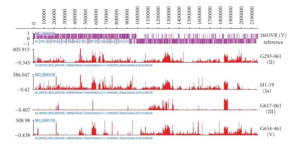 https://cdn.ncbi.nlm.nih.gov/pmc/blobs/c1f1/2648626/19a5471ba911/IPID2008-314762.001.jpg