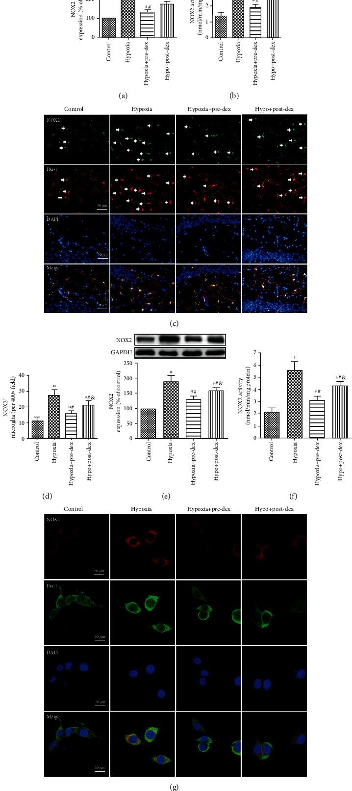 https://cdn.ncbi.nlm.nih.gov/pmc/blobs/c1f1/7895593/cb4c38242adc/OMCL2021-6643171.003.jpg