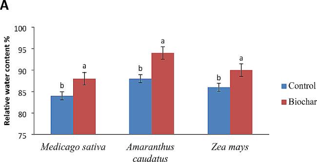 https://cdn.ncbi.nlm.nih.gov/pmc/blobs/c1f4/11034111/80c165668378/12870_2024_4957_Fig2_HTML.jpg
