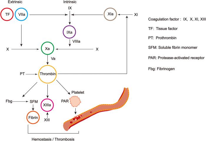 https://cdn.ncbi.nlm.nih.gov/pmc/blobs/c1f4/11062145/24a1249b5e5e/S1462399424000036_fig2.jpg